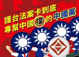 專門幫中國「擋」的中國黨