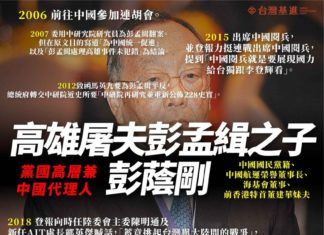 高雄屠夫彭孟緝之子 – 彭蔭剛