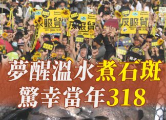 夢醒溫水煮石斑 驚幸當年318